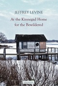 Cover: At the Kinnegad Home for the Bewildered - Salmon Poetry
