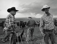 Enlarge image Cover: John Langmore - Open Range - Twin Palms Publishers