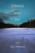 Cover: Strange What Rises - Terrapin Books