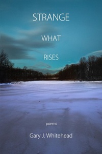 Enlarge image Cover: Strange What Rises - Terrapin Books