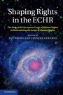 Cover: Shaping Rights in the ECHR - Cambridge University Press
