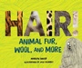 Cover: Hair! - Lerner Publishing Group