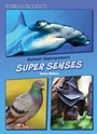 Cover: Super Senses - Red Chair Press