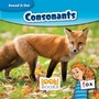 Cover: Consonants - Red Chair Press