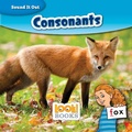 Cover: Consonants - Red Chair Press