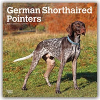Bild vergrößern Bild: German Shorthaired Pointers International - Deutsch Kurzhaar 2020 - 16-Monatskalender mit freier DogDays-App - Brown Trout