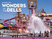 Abbildung von: Among the Wonders of the Dells - University of Wisconsin Press