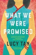 Cover: What We Were Promised - Back Bay Books