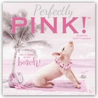 Abbildung von: Perfectly Pink - Glücksschweine 2020 - 16-Monatskalender - Graphique de France
