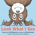 Cover: Look What I See - Little Simon