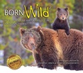 Cover: Born Wild 2 - Farcountry Press