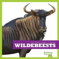 Cover: Wildebeests - Bullfrog Books