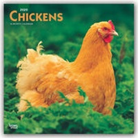 Abbildung von: Chickens - Hühner 2020 - 16-Monatskalender - Brown Trout