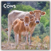 Abbildung von: Cows - Kühe 2020 - 16-Monatskalender - Brown Trout