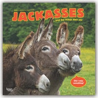 Abbildung von: Jackasses and the things they say - Was Esel erzählen 2020 - 16-Monatskalender - Brown Trout