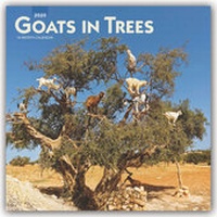 Abbildung von: Goats in Trees - Ziegen auf Bäumen 2020 - 16-Monatskalender - Brown Trout