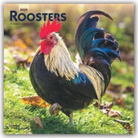Abbildung von: Roosters - Hähne 2020 - 16-Monatskalender - Browntrout Publishers