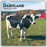 Abbildung von: Dairyland - America's Cow Calendar - Molkereiland - Amerikas Kuh-Kalender 2020 - 16-Monatskalender - Browntrout Publishers