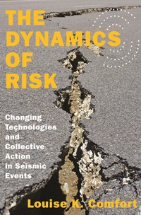 Enlarge image Cover: The Dynamics of Risk - Princeton University Press