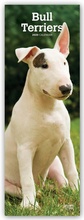Cover: Bull Terriers 2020 - BrownTrout Publishers