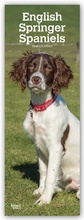 Cover: English Springer Spaniels 2020 - BrownTrout Publishers