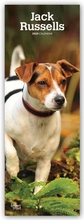 Cover: Jack Russels - Jack Russel Terrier 2020 - BrownTrout Publishers