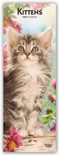 Cover: Kittens - K&auml;tzchen Katzenbabys 2020 - BrownTrout Publishers