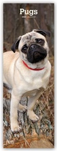 Cover: Pugs - M&ouml;pse 2020 - BrownTrout Publishers