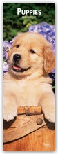Cover: Puppies - Welpen - Hundewelpen 2020 - BrownTrout Publishers