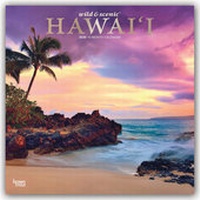 Abbildung von: Hawaii 2020 - 16-Monatskalender - Brown Trout