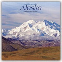 Abbildung von: Alaska 2020 16-Monatskalender - Brown Trout