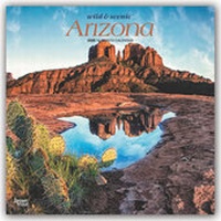 Abbildung von: Arizona 2020 - 16-Monatskalender - Brown Trout