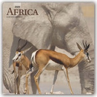 Abbildung von: Africa - Afrika 2020 - 16-Monatskalender - Brown Trout