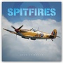 Cover: Spitfires 2020 - Stürtz