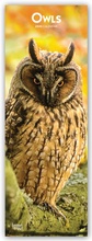 Cover: Owls - Eulen 2020 - BrownTrout Publishers