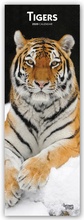 Cover: Tigers - Tiger 2020 - BrownTrout Publishers