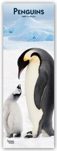 Cover: Penguins - Pinguine 2020 - BrownTrout Publishers
