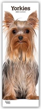 Cover: Yorkshire Terrier - Yorkies 2020 - BrownTrout Publishers