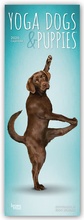 Cover: Yoga Dogs & Puppies - Yoga-Hunde und Yoga-Welpen 2020 - BrownTrout Publishers