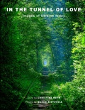 Cover: In the Tunnel of Love - The Light Beam Publishing