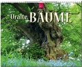Cover: Uralte B&auml;ume - St&uuml;rtz