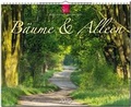 Cover: B&auml;ume & Alleen - St&uuml;rtz