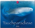 Cover: Tauchparadiese - St&uuml;rtz
