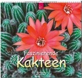 Cover: Faszinierende Kakteen - St&uuml;rtz