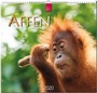 Cover: Affen - Stürtz