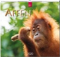 Cover: Affen - St&uuml;rtz