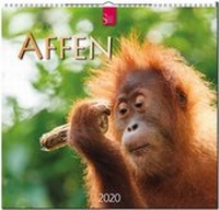 Enlarge image Cover: Affen - Stürtz