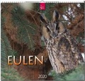 Cover: Eulen - St&uuml;rtz