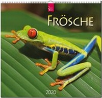 Abbildung von: Frösche - Stürtz