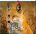 Cover: F&uuml;chse - St&uuml;rtz